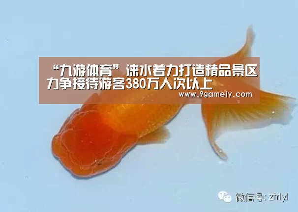 “九游体育”涞水着力打造精品景区力争接待游客380万人次以上(图2) 九游体育