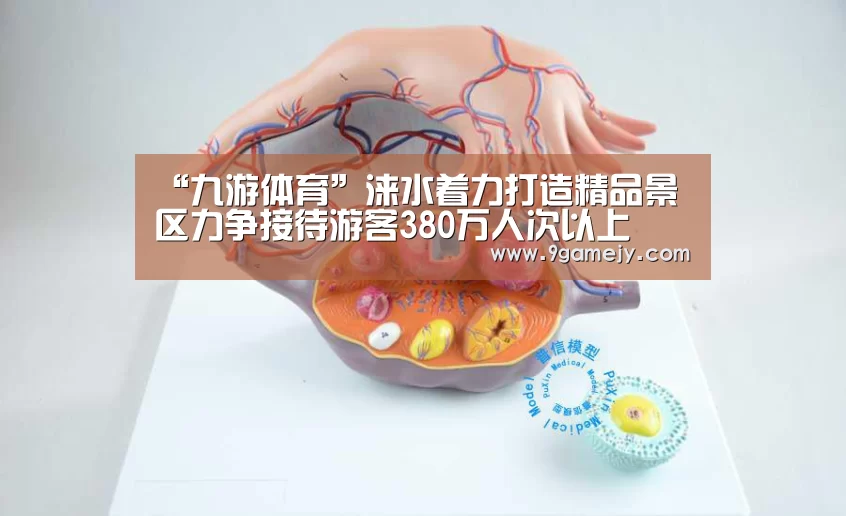 “九游体育”涞水着力打造精品景区力争接待游客380万人次以上(图4) 九游体育
