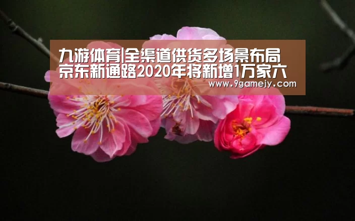 九游体育|全渠道供货多场景布局 京东新通路2020年将新增1万家六统一门店