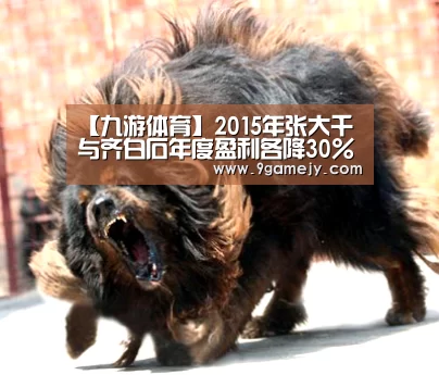 【九游体育】2015年张大千与齐白石年度盈利各降30%和41%